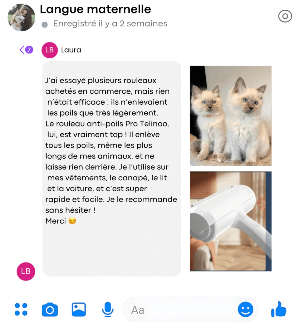 Rouleau Anti-Poils Pro