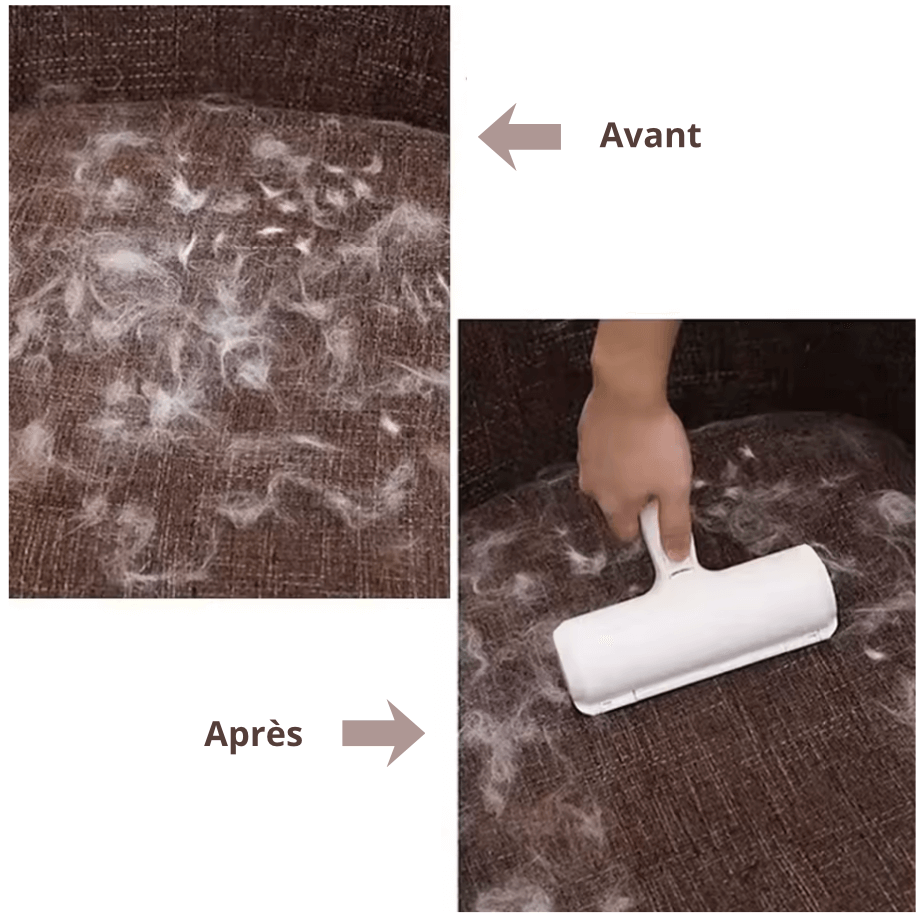 Rouleau Anti-Poils Pro