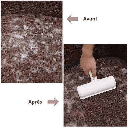 Rouleau Anti-Poils Pro