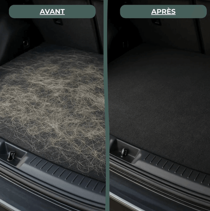 Rouleau Anti-Poils Pro