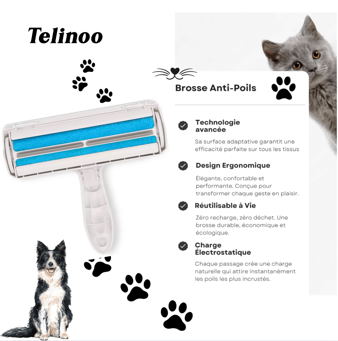 Rouleau Anti-Poils Pro