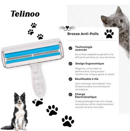 Rouleau Anti-Poils Pro