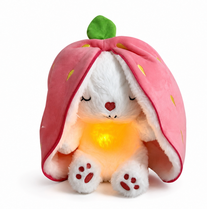 Mon Lapin des Nuits