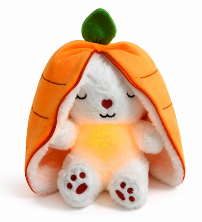 Mon Lapin des Nuits