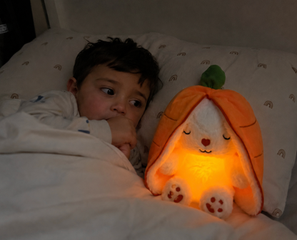 Mon Lapin des Nuits