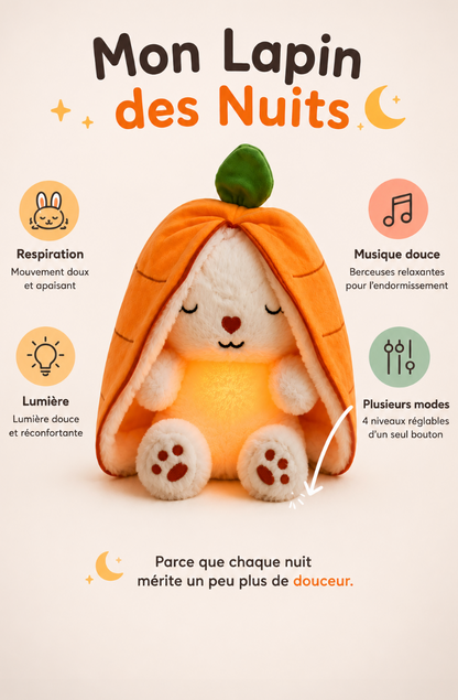 Mon Lapin des Nuits